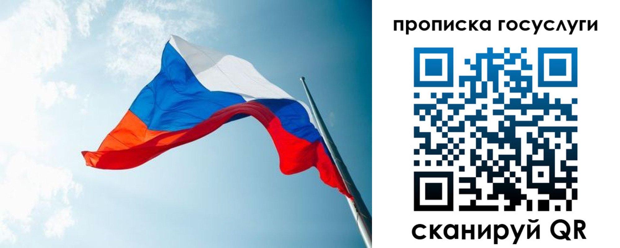 регистрация для школы в Луге